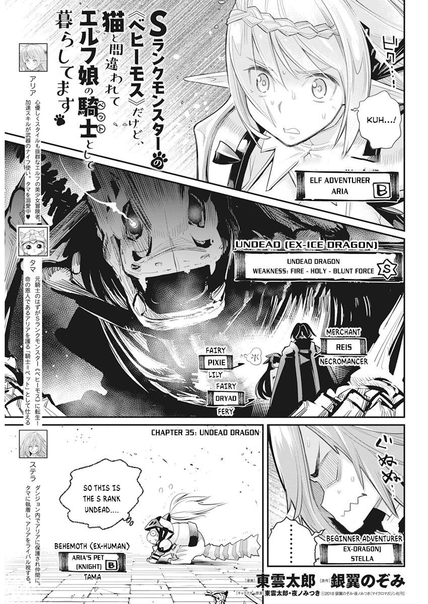 S-Rank Monster No Behemoth Dakedo, Neko To Machigawarete Erufu Musume No Kishi (Pet) Toshite Kurashitemasu Chapter 35 - Picture 2