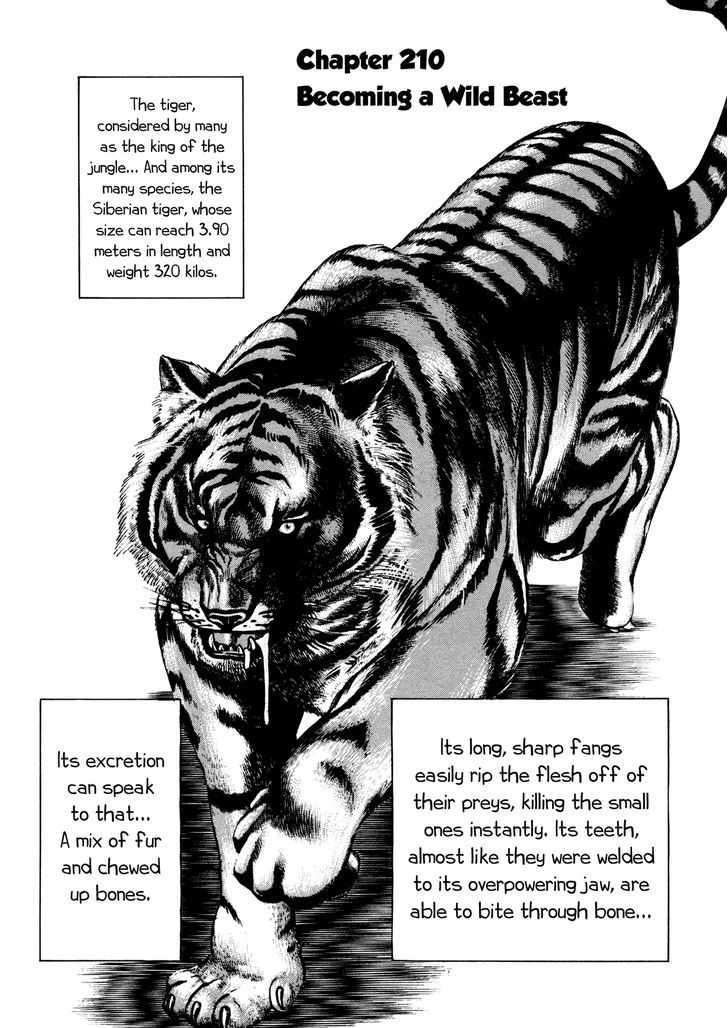 Koukou Tekkenden Tough Vol.20 Chapter 210 : Becoming A Wild Beast - Picture 1
