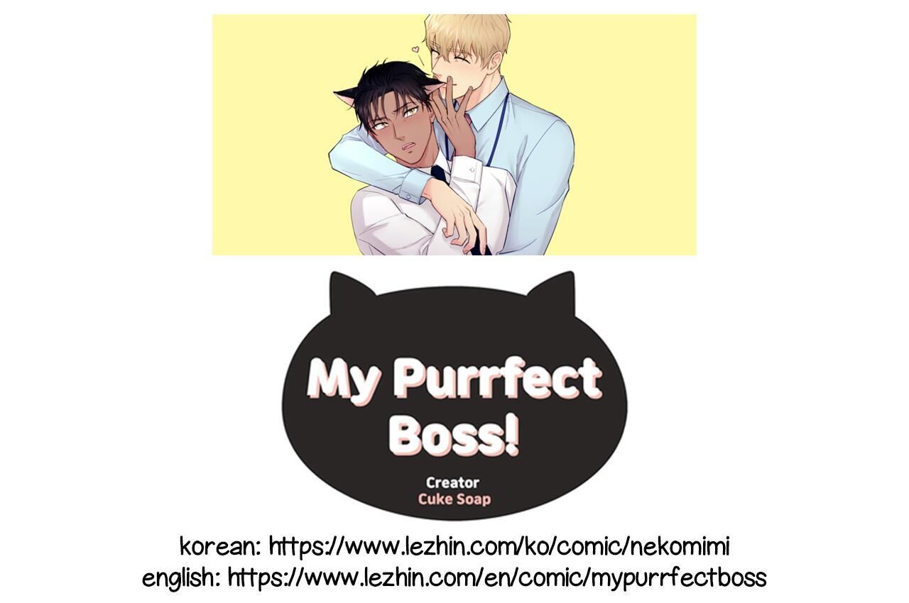 My Purrfect Boss! Chapter 23 - Picture 1