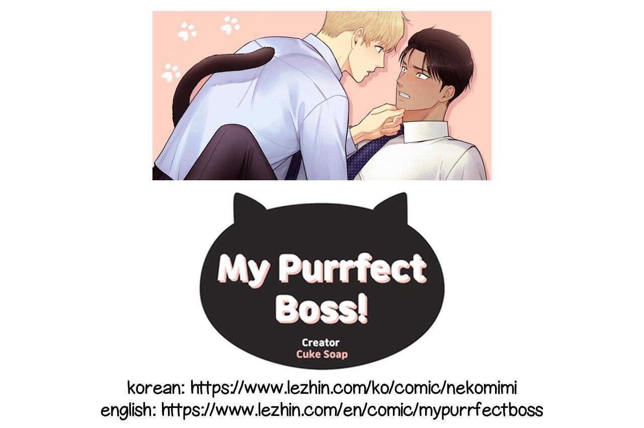 My Purrfect Boss! Chapter 18 - Picture 1