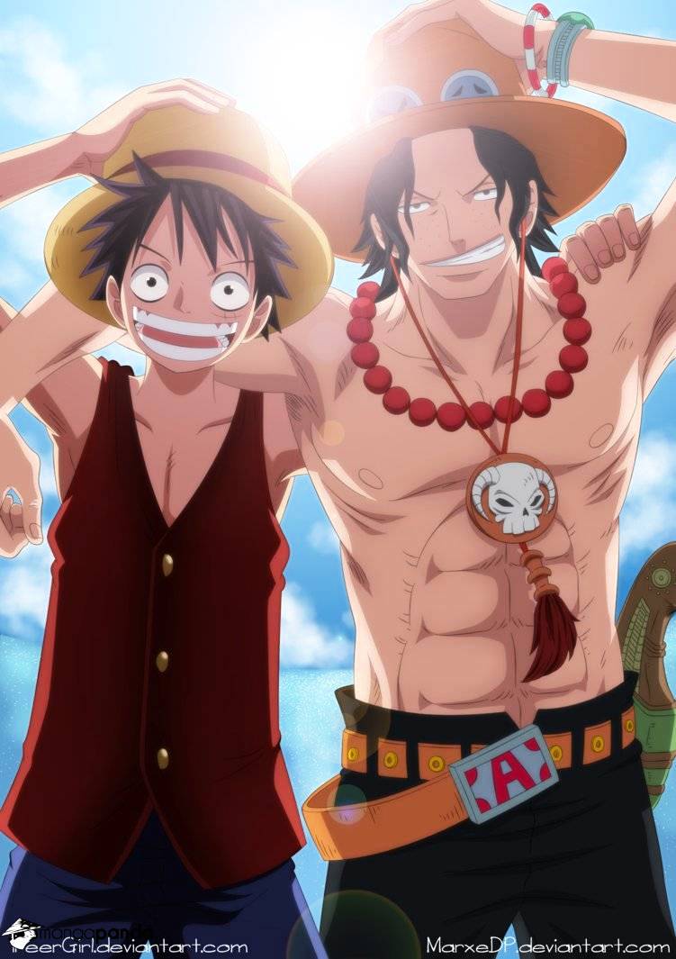 One Piece Chapter 740 : Please!!! - Picture 1