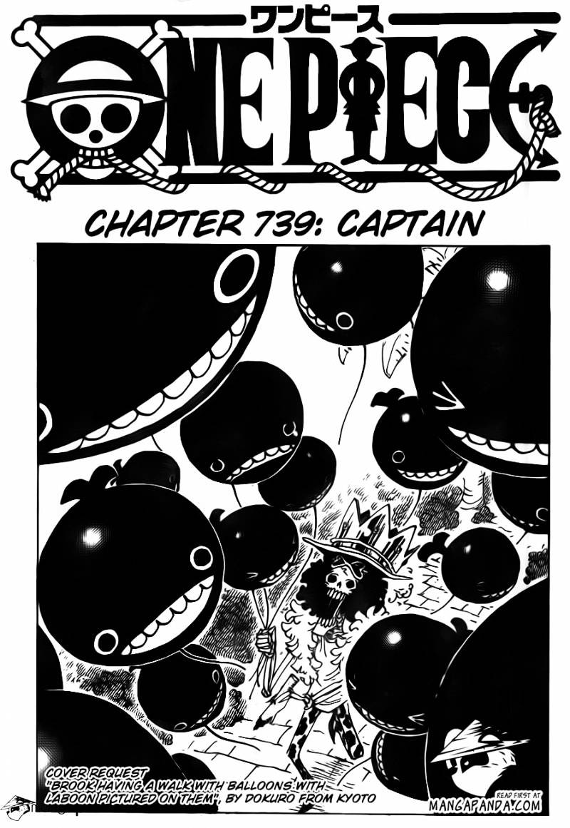 One Piece Chapter 739 : Captain - Picture 3