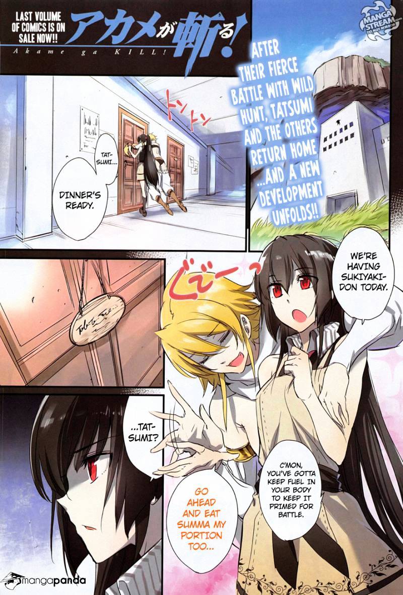 Akame Ga Kill! Chapter 61 : Kill The Reinforcement - Picture 1