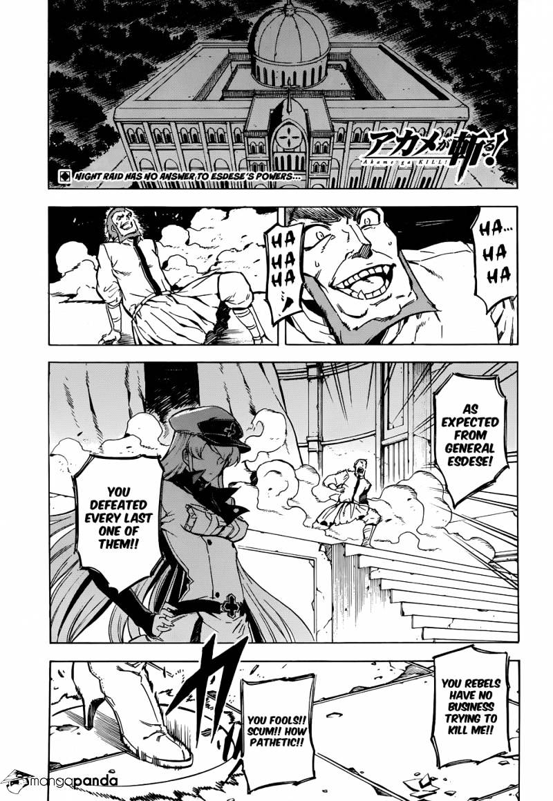 Akame Ga Kill! Chapter 43 : Kill The Despair Part2 - Picture 2