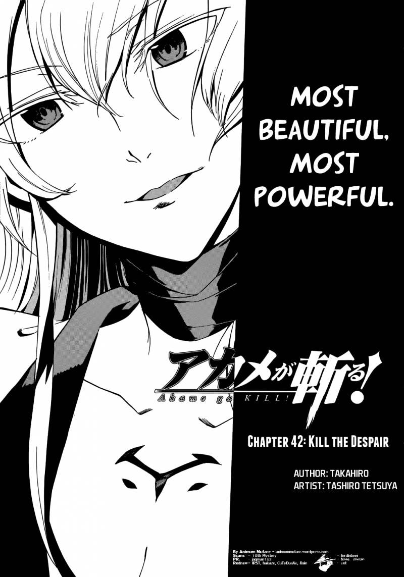 Akame Ga Kill! Chapter 42 : Kill The Despair - Picture 3