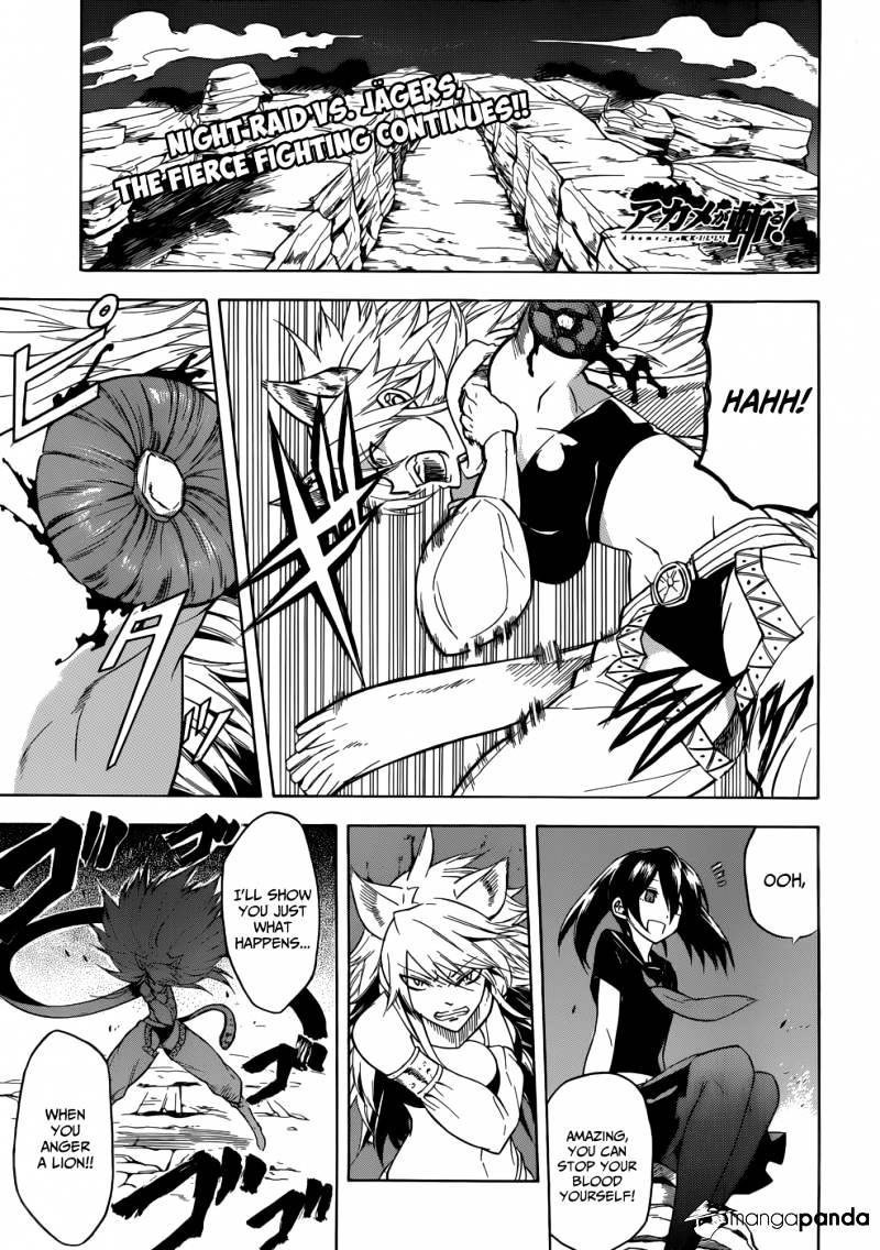 Akame Ga Kill! Chapter 31 : Kill The Puppets (Part 2) - Picture 1