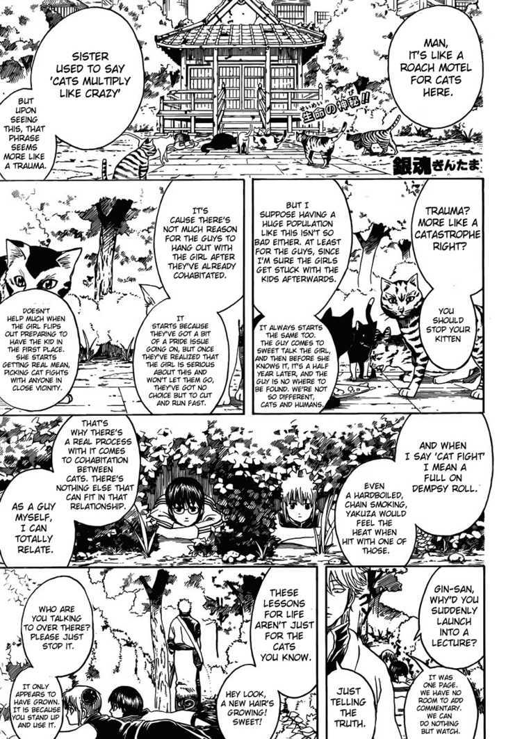 Gintama Chapter 275 : When Looking For Something. Try Thinking From It S Point Of View - Picture 1