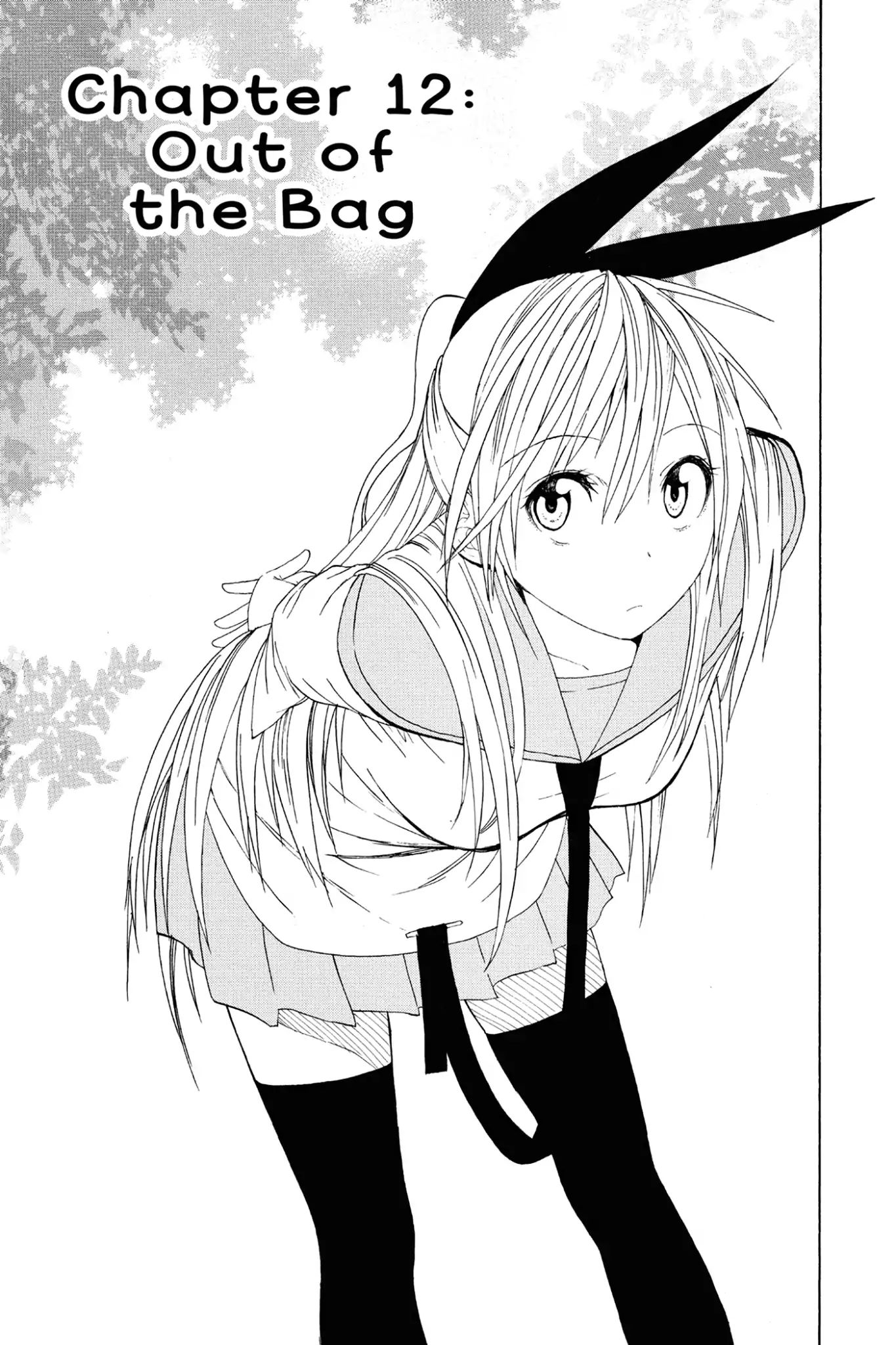 Nisekoi Chapter 12: Out Of The Bag - Picture 1