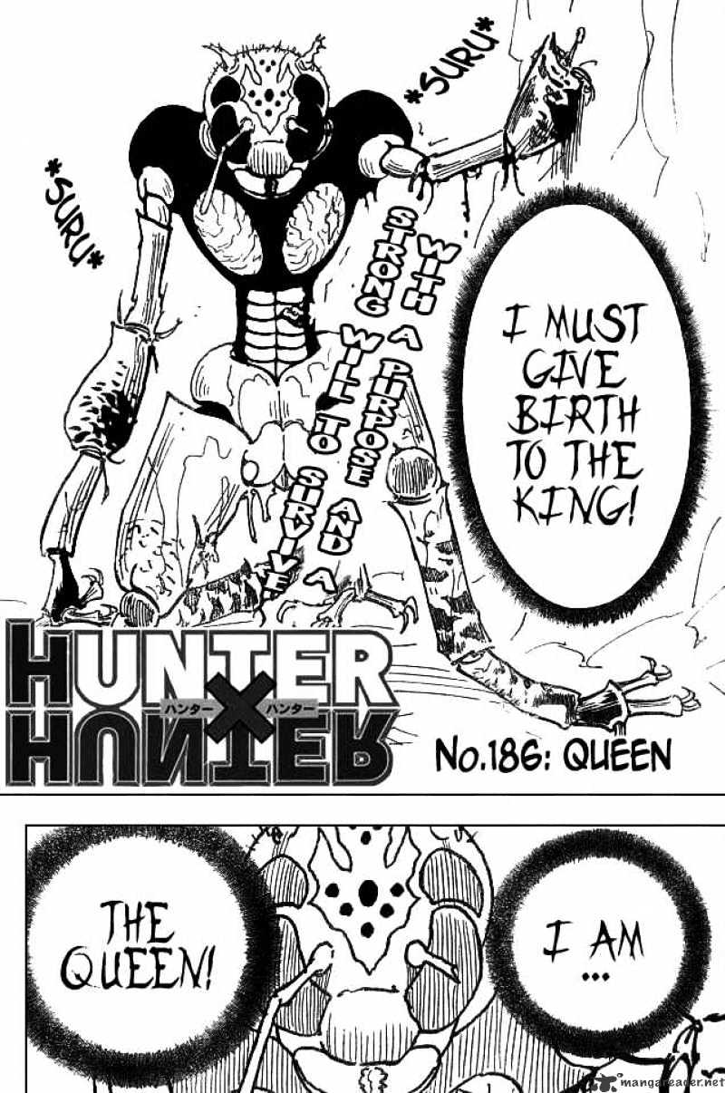 Hunter X Hunter Chapter 186 : Queen - Picture 2