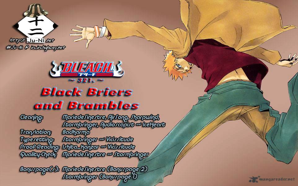 Bleach Chapter 321 : Black Briers And Brambles - Picture 1