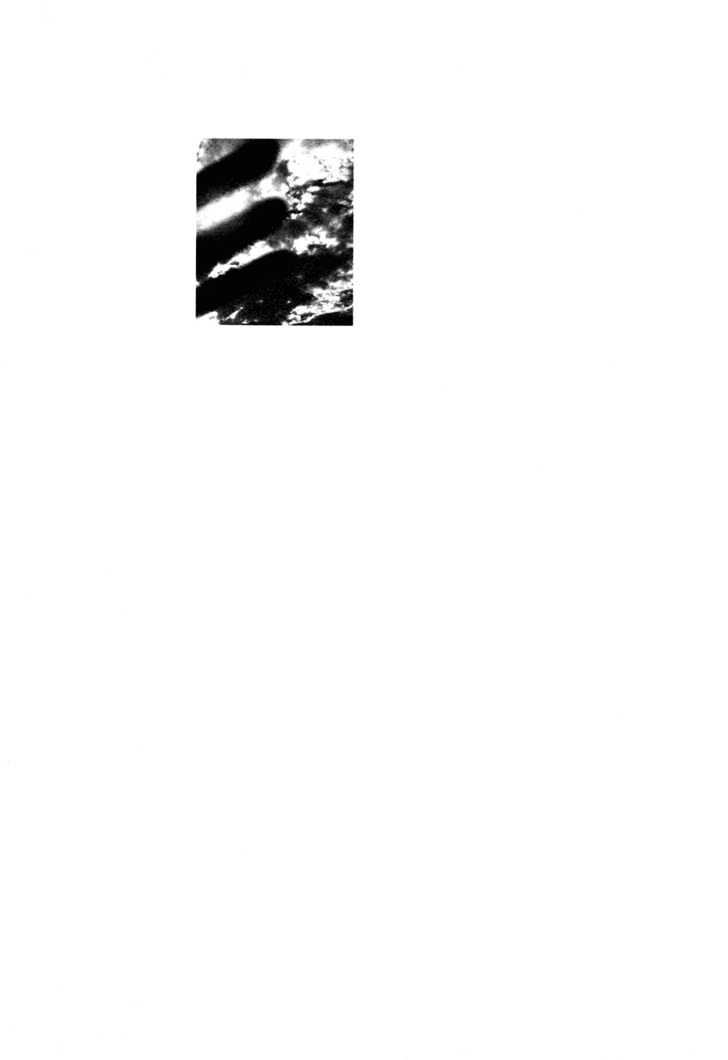 Nijigahara Holograph - Page 1