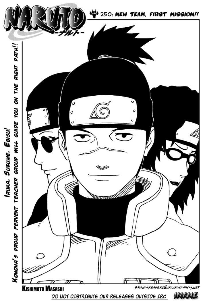 Naruto Vol.28 Chapter 250 : New Team, First Mission!! - Picture 1