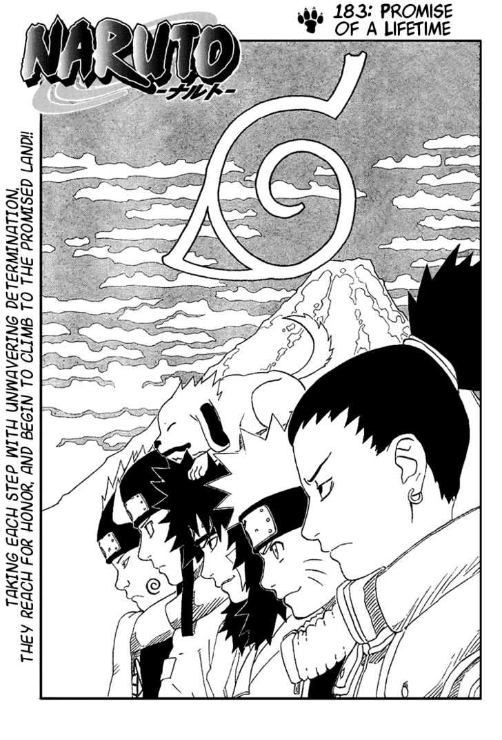 Naruto Vol.21 Chapter 183 : Promise Of A Lifetime - Picture 1