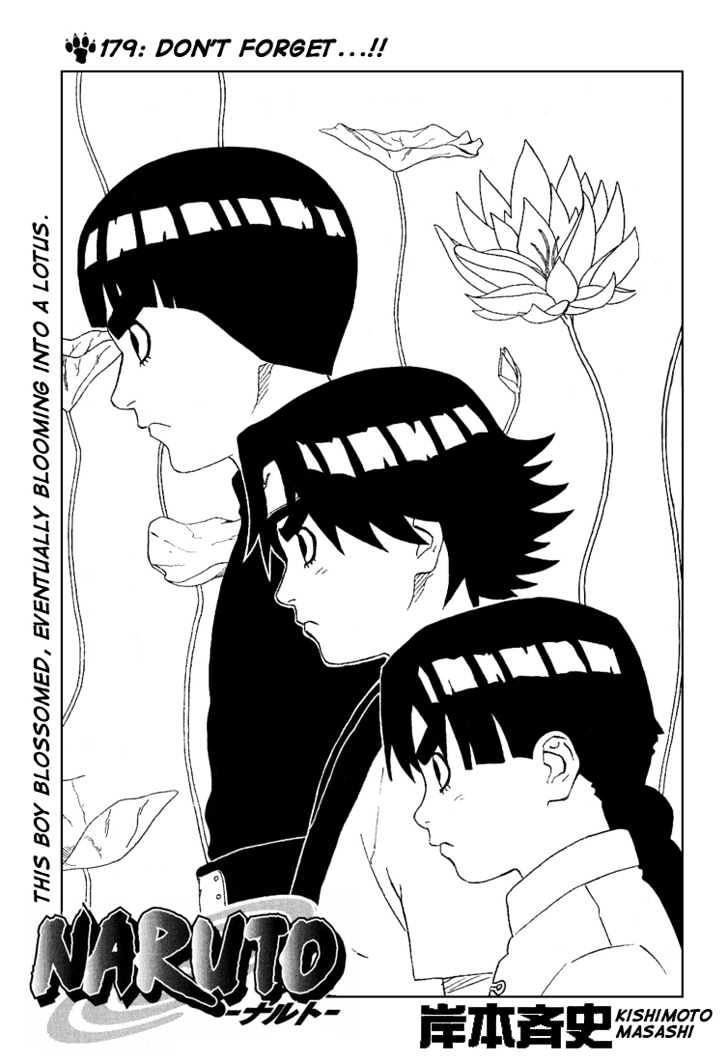 Naruto Vol.20 Chapter 179 : Don't Forget...!! - Picture 1
