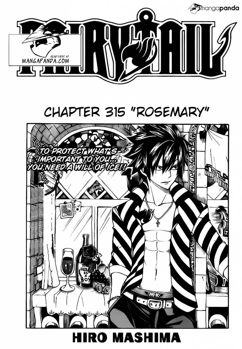 Fairy Tail Chapter 315 : Rosemary - Picture 3