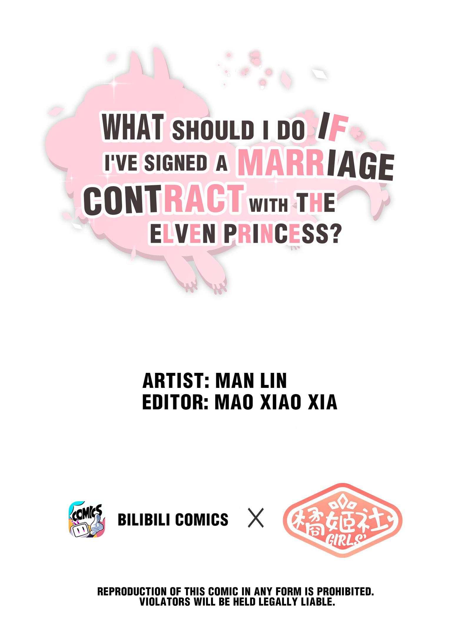 What Should I Do If I've Signed A Marriage Contract With The Elven Princess Chapter 11: I Like You... What About You? - Picture 1