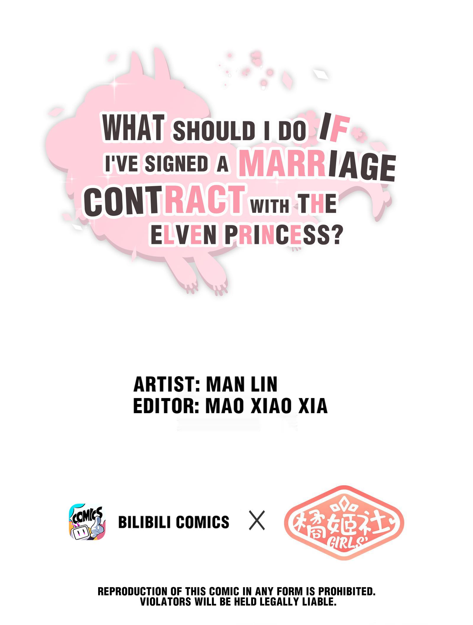 What Should I Do If I've Signed A Marriage Contract With The Elven Princess - Page 1