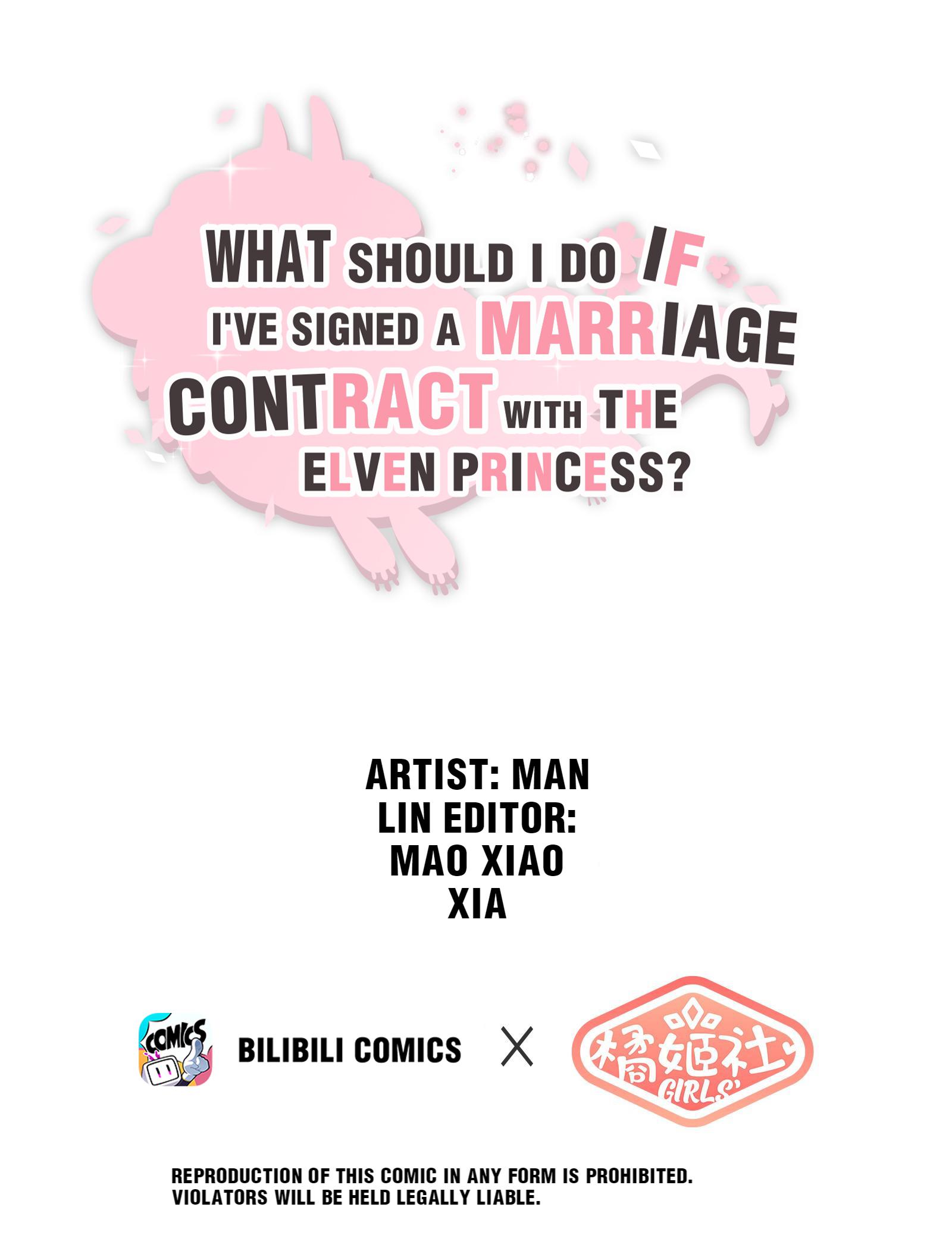 What Should I Do If I've Signed A Marriage Contract With The Elven Princess Chapter 5: Fancy Supper? - Picture 1