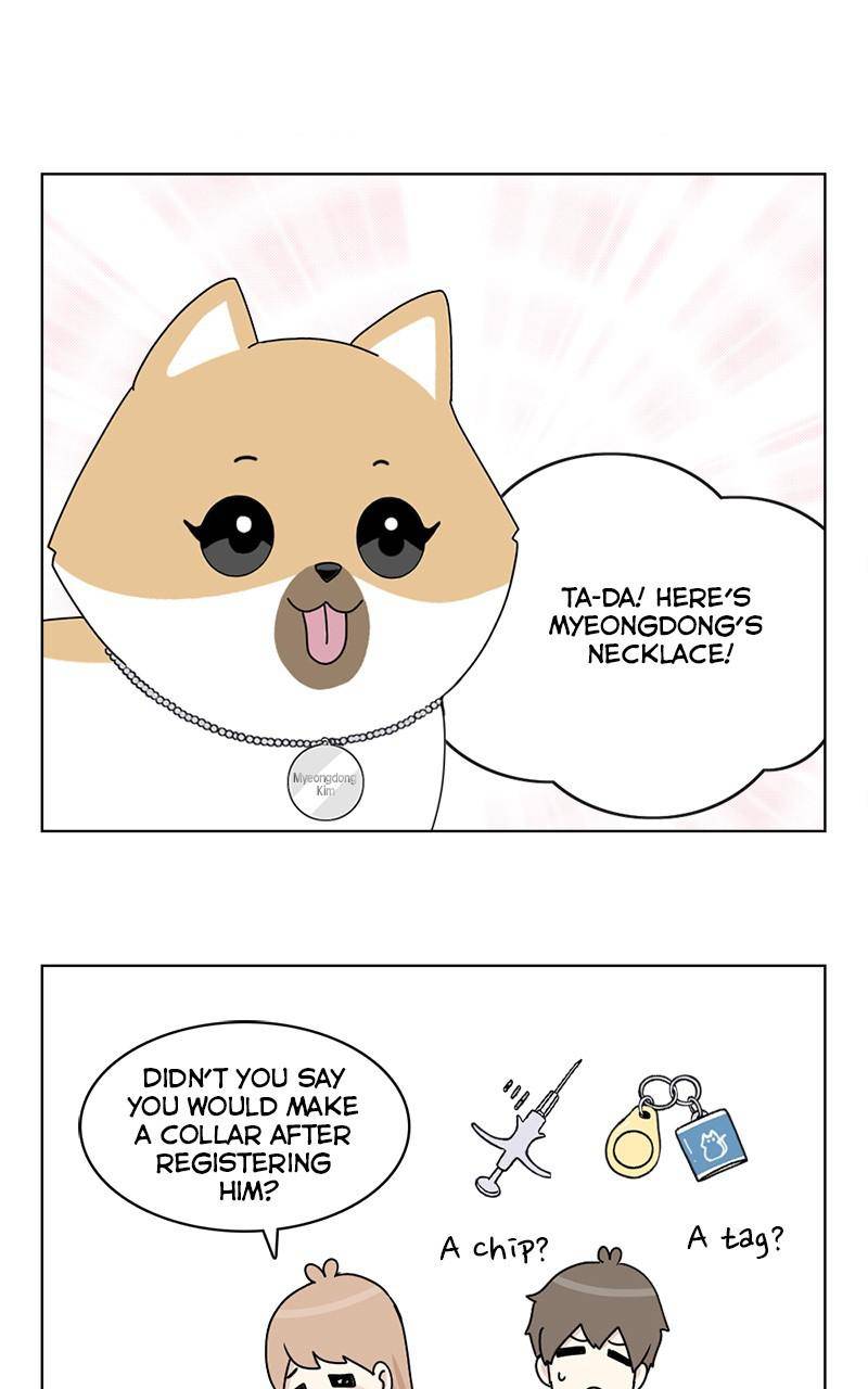 The Dog Diaries - Page 1