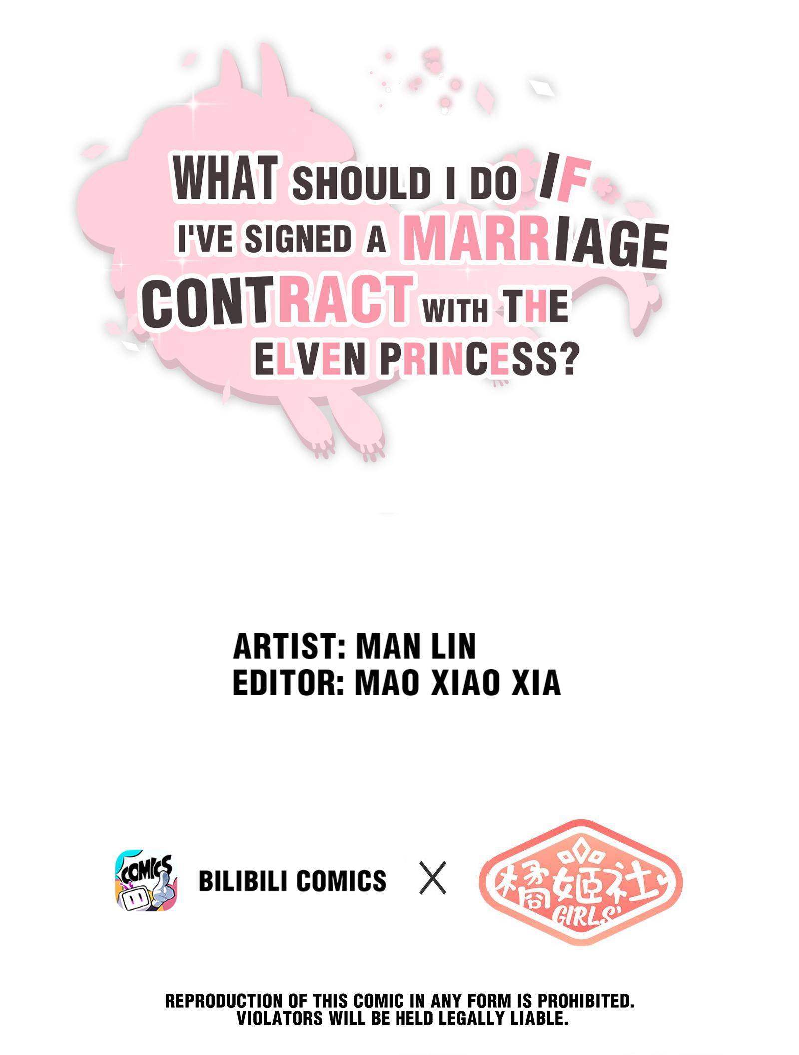 What Should I Do If I’Ve Signed A Marriage Contract With The Elven Princess - Page 4
