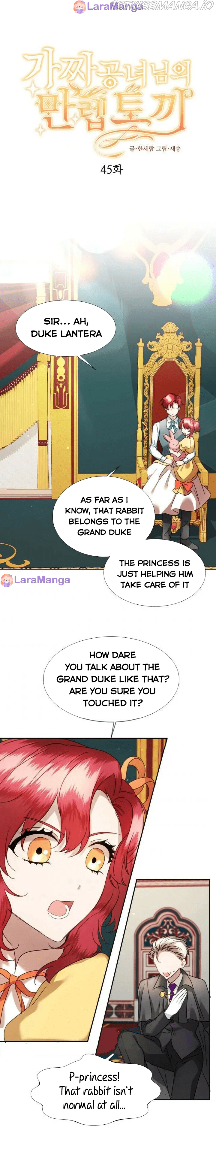 The Fake Princess’ Op Bunny - Page 1