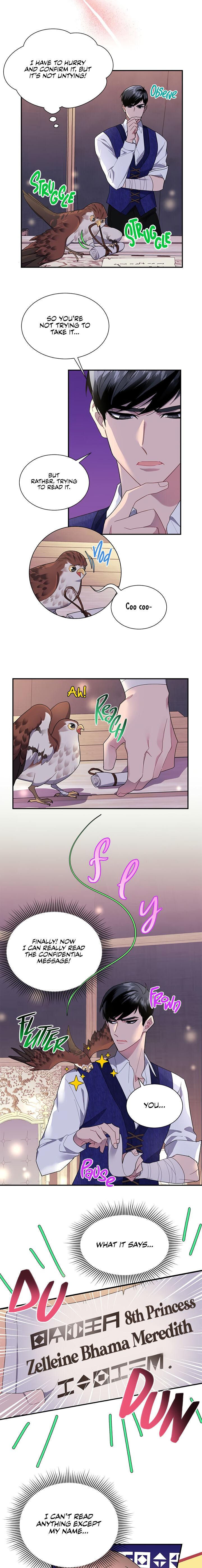Cavier Falcon Princess Chapter 17 - Picture 2